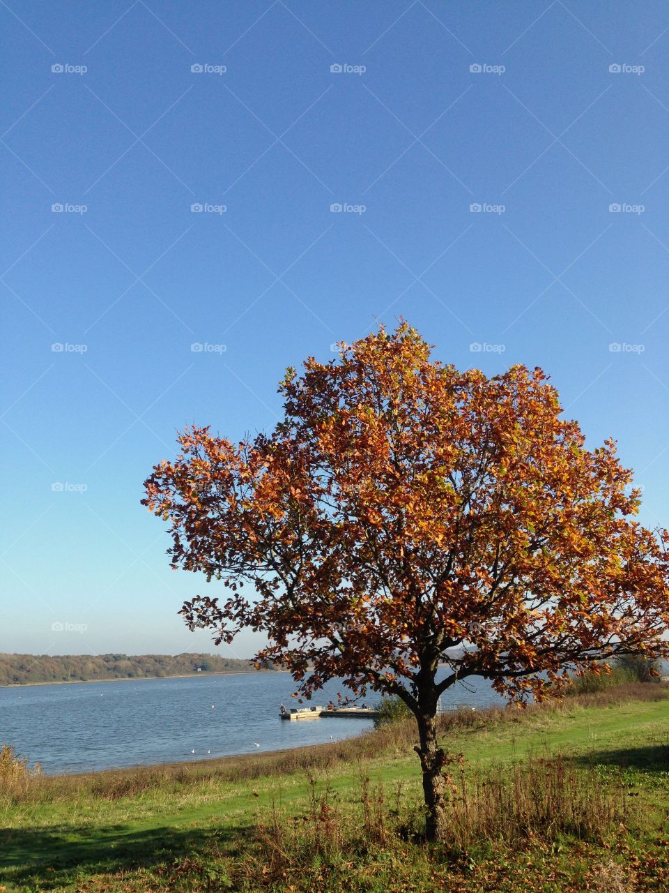 Arlington Reservoir. Quiet scene from a walk around a reservoir