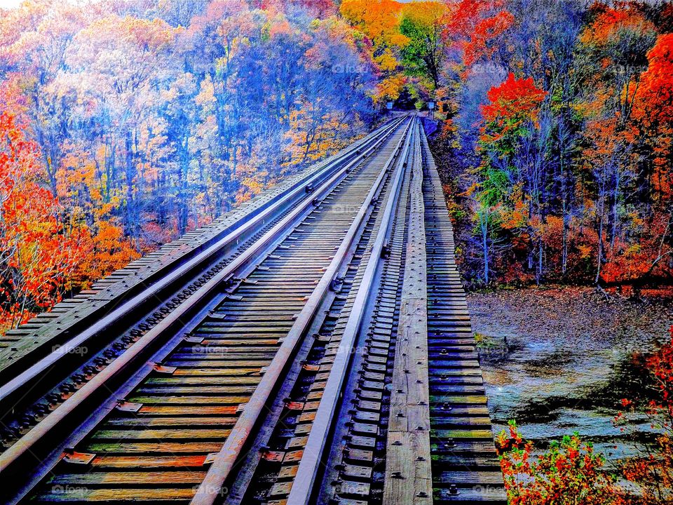 Beautiful fall train tracks