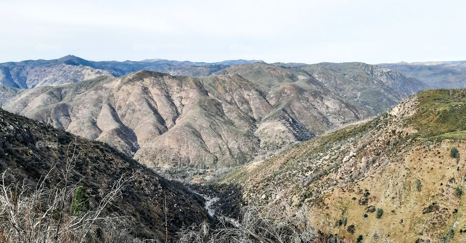 A wildfire burned this area in 2013 #rimfire01#sanfrancisco #california #usa