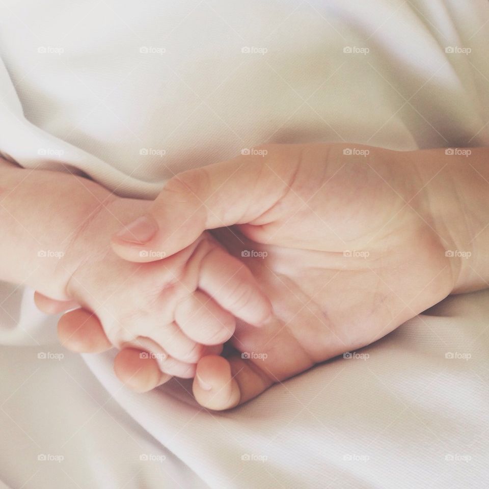 Close-up of two brothers holding hands