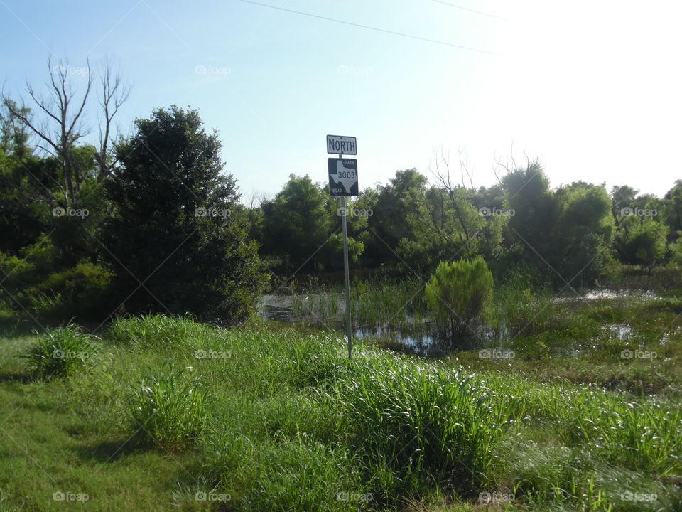 Texas farm to market. This is one of the road signs I saw while out exploring in East Texas