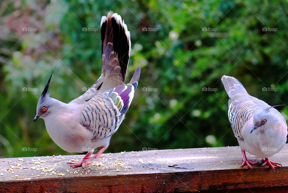 Let you see what kind of beautiful dance moves