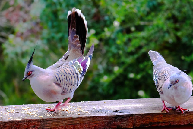 Let you see what kind of beautiful dance moves