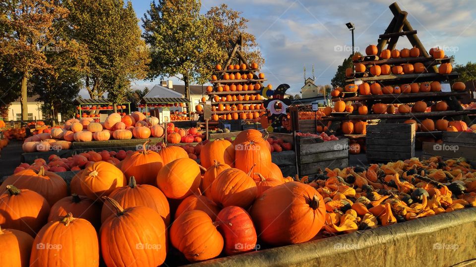 Magical fruits and vegetables given by nature in this remarkable season, mixing the winds of the winter with the light of the summer... Last longer dear Autumn!! 🍁