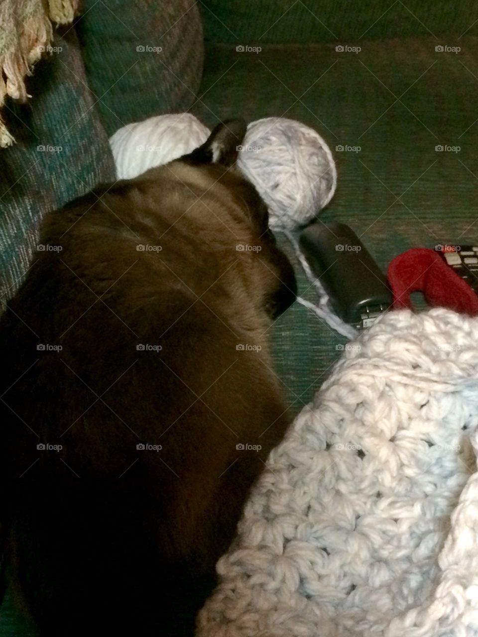 This baby blanket may take awhile...