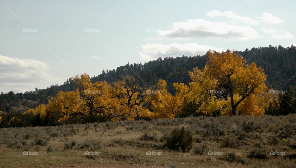 Autumn Is Among Us - Gillette, WY