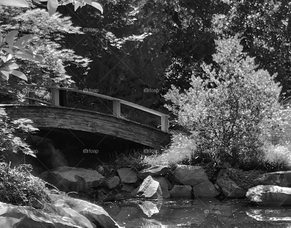 Black and White Walking Bridge