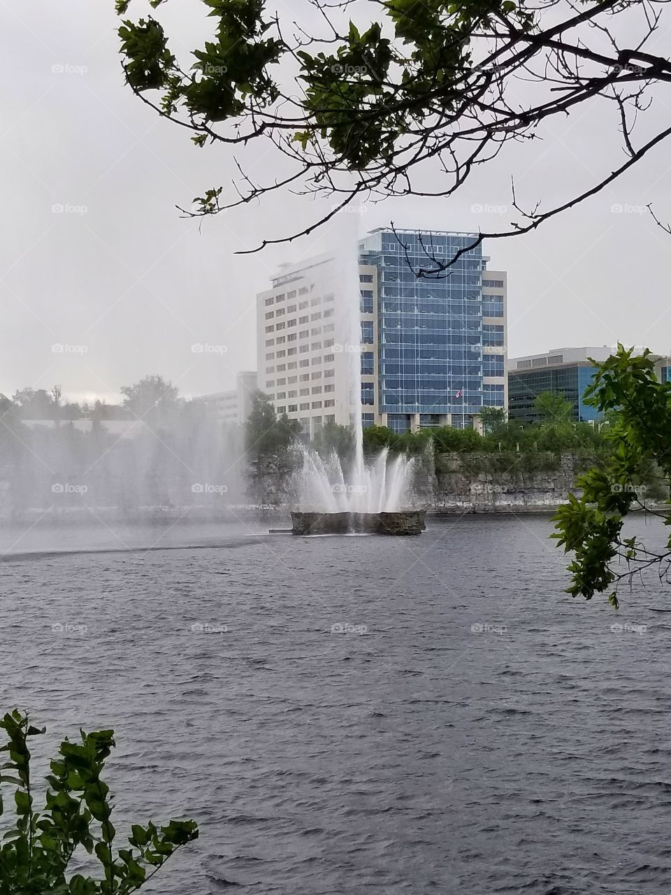 Water fountain through the woods
