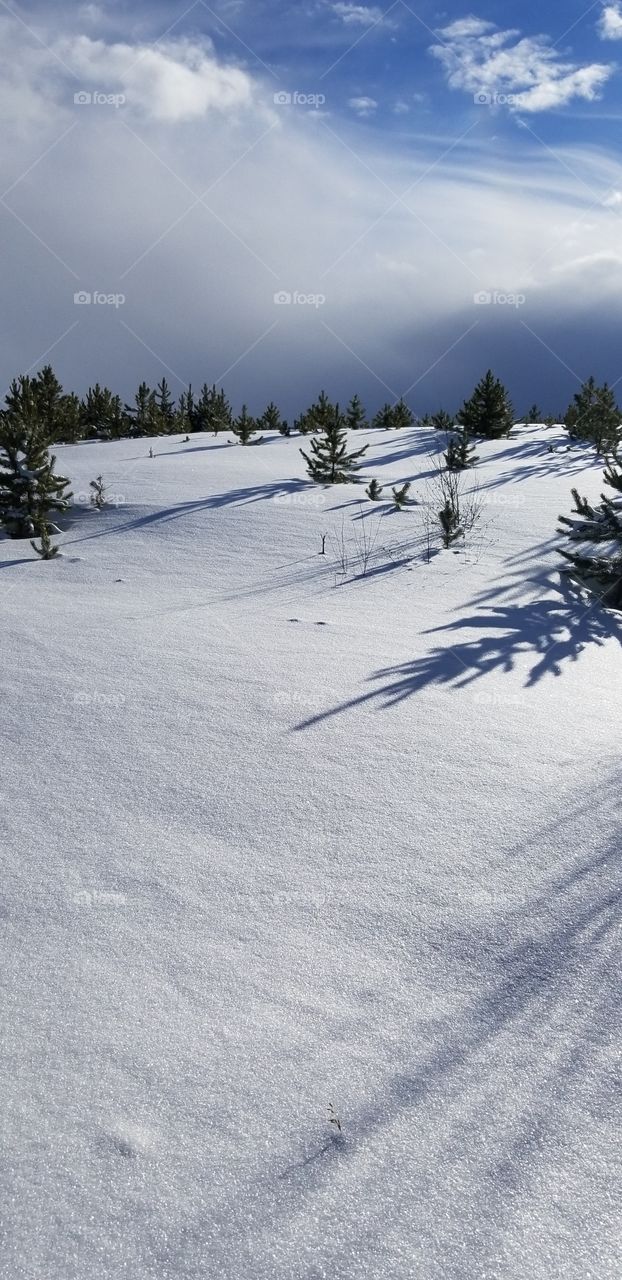 snow field Colorado