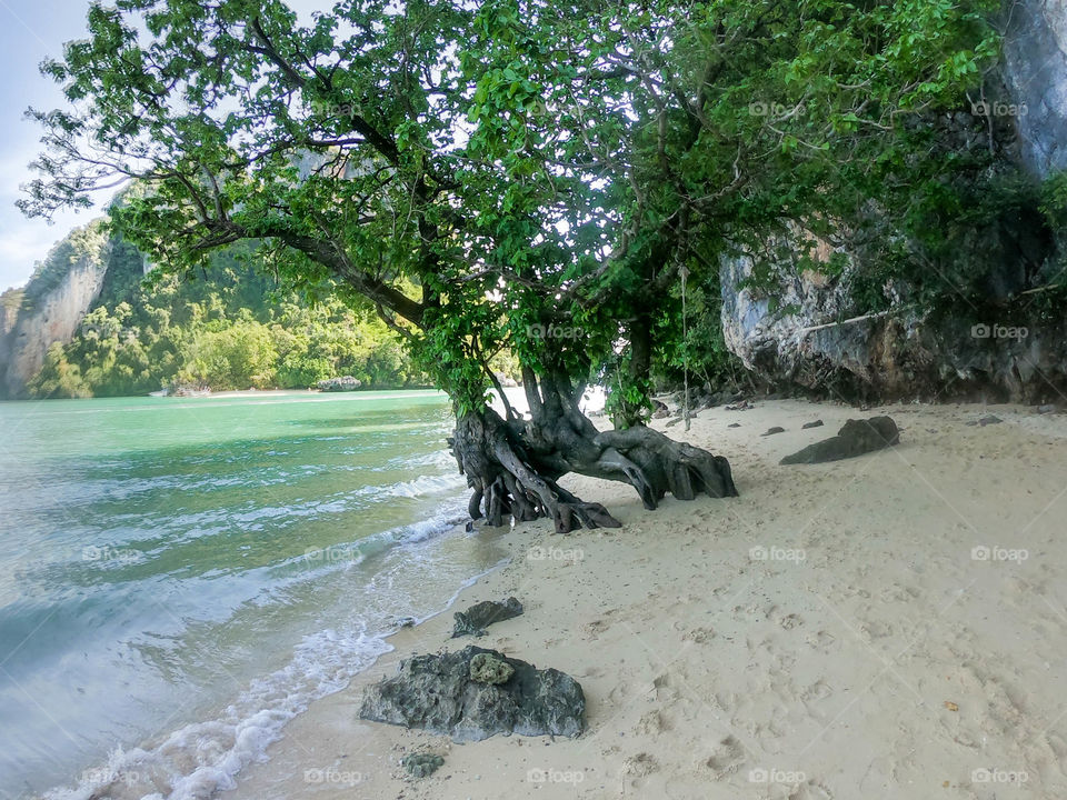 paisaje de playa en entorno selvático lleno de colores y luz. Un lugar mágico y escondido de la civilización