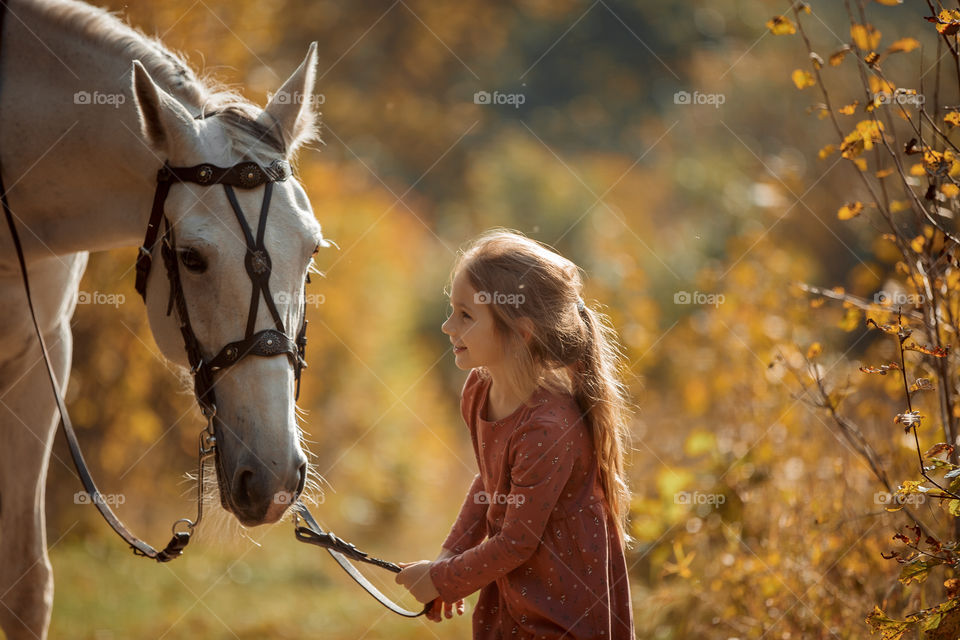 Little girl with grey horse in an autumn park 