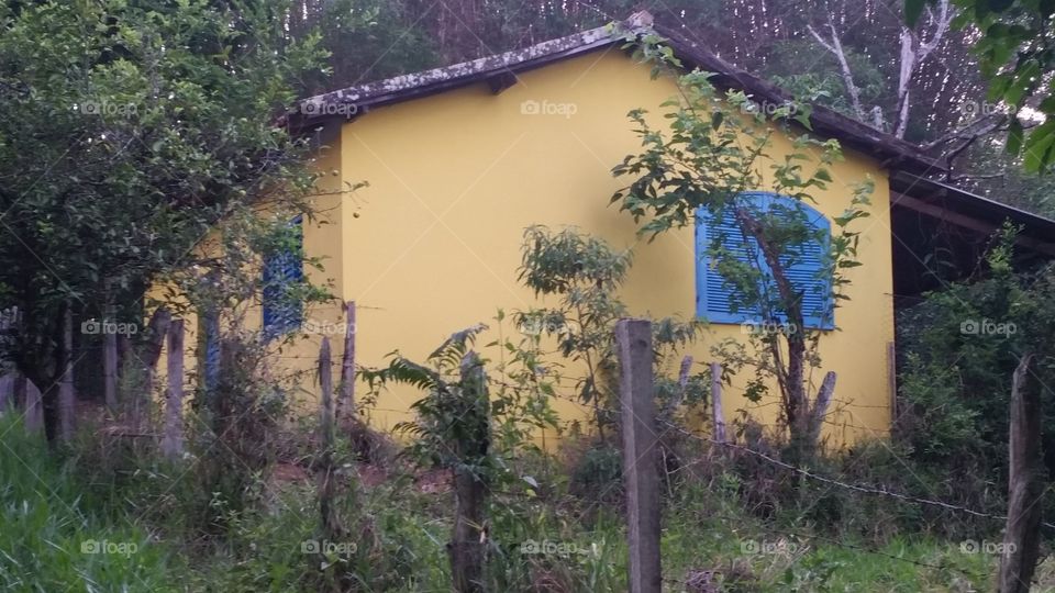 Old house in forest