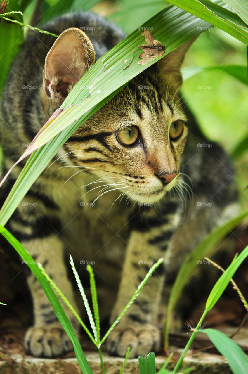 with a keen eye on the environment 👀