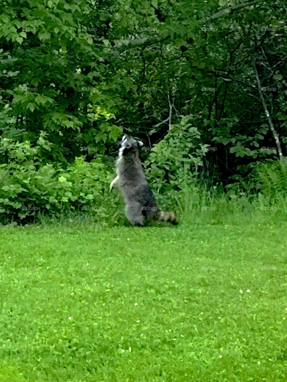 Just following my nose