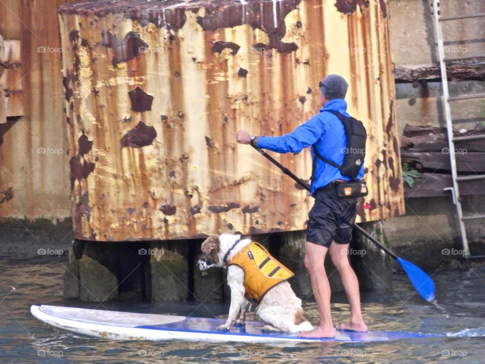 Stand up paddle with dog