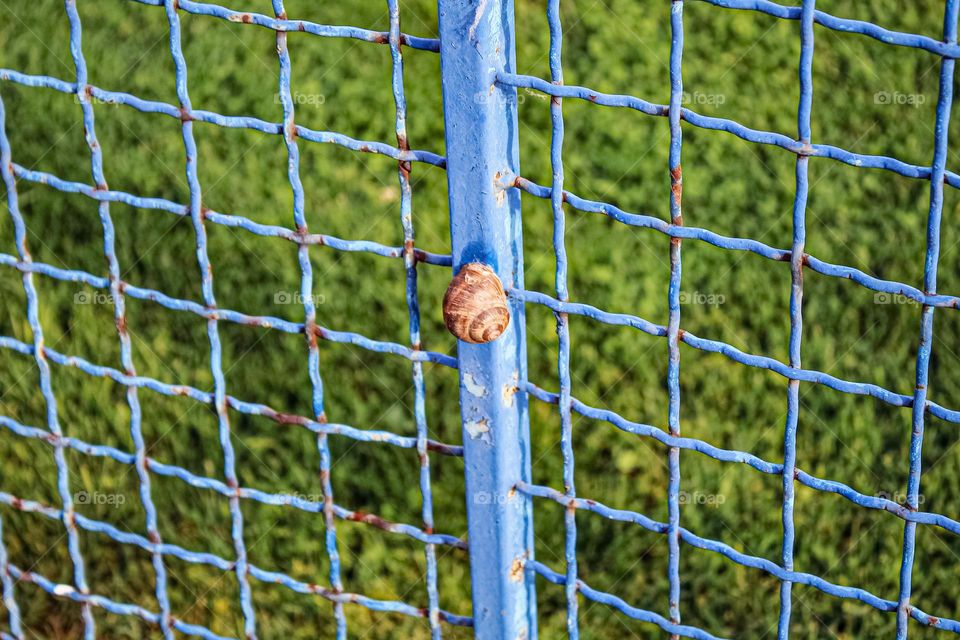 Blue fence