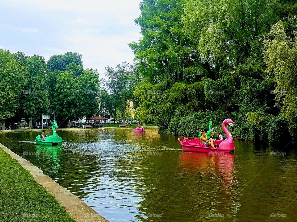 ride with the swan hydrobike