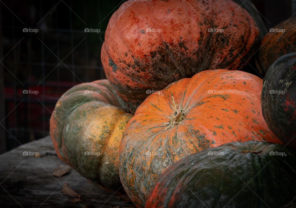 Multiple Pumpkins: Dark