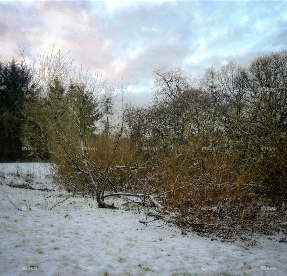 Winter afternoon walk in Scotland