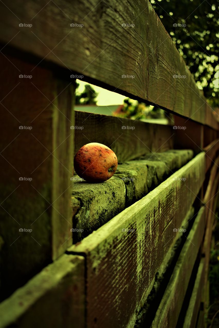 Same apples, different photos 👌