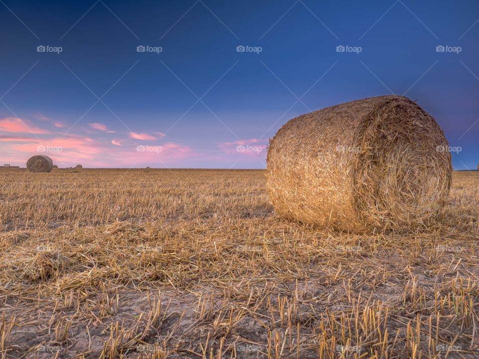 Osieczna, Leszno, Poland