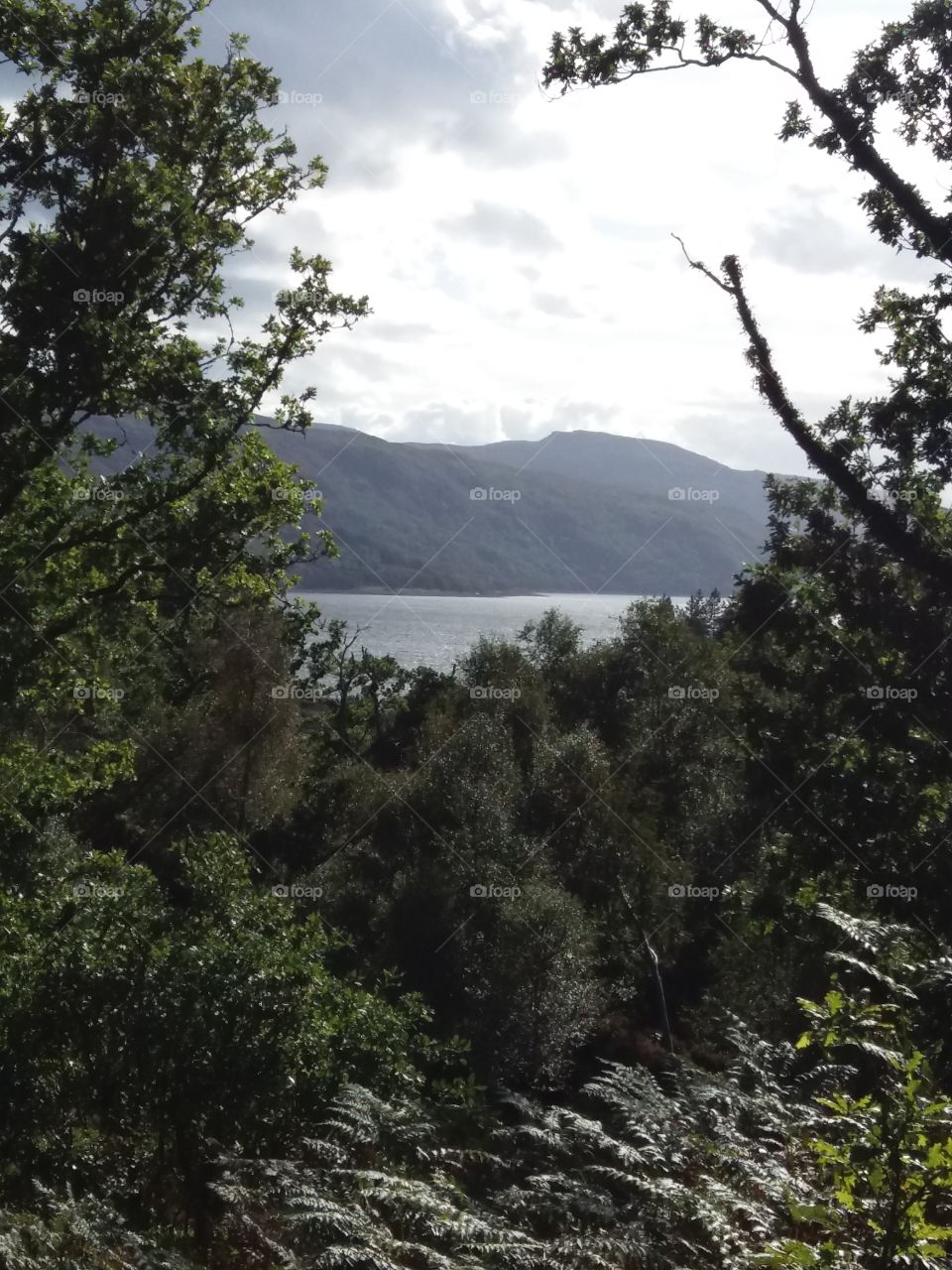 Loch Sunar in Salen