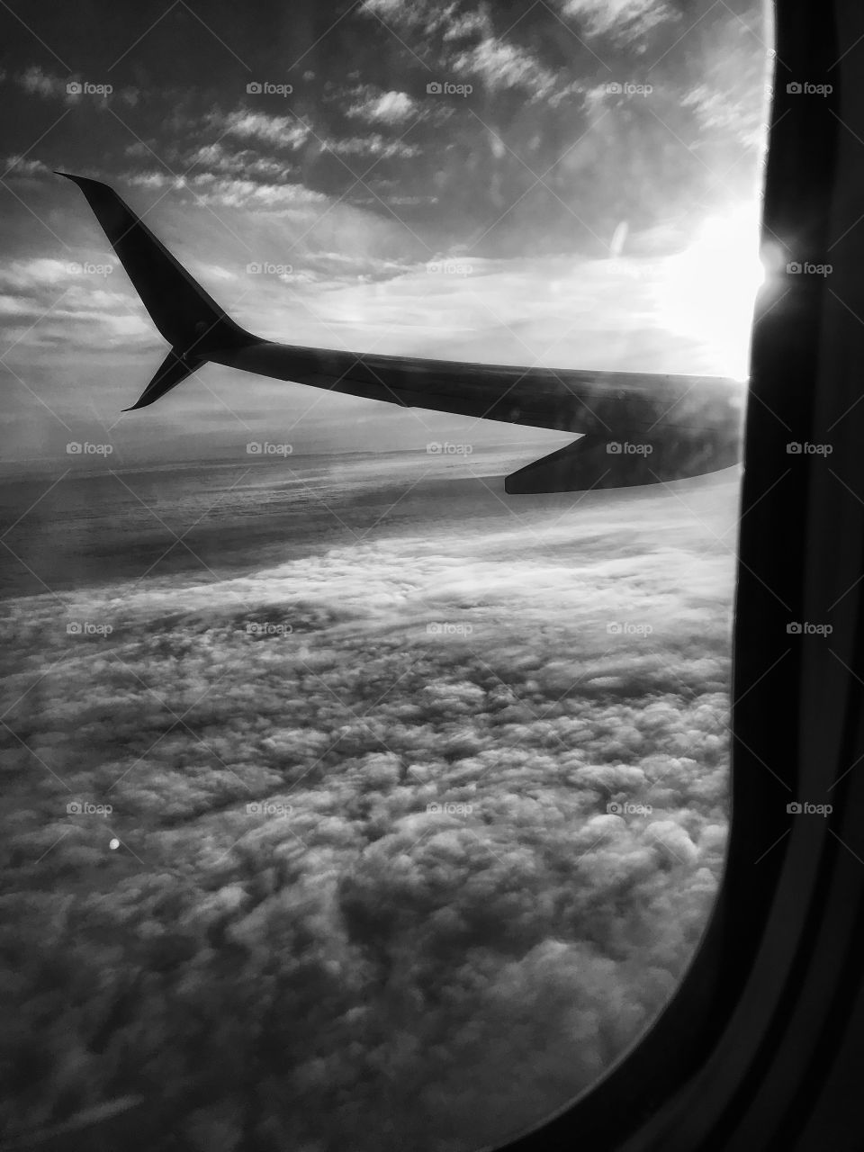 Living life high, high above the mediocre, high above the rest. Gives you freedom. 