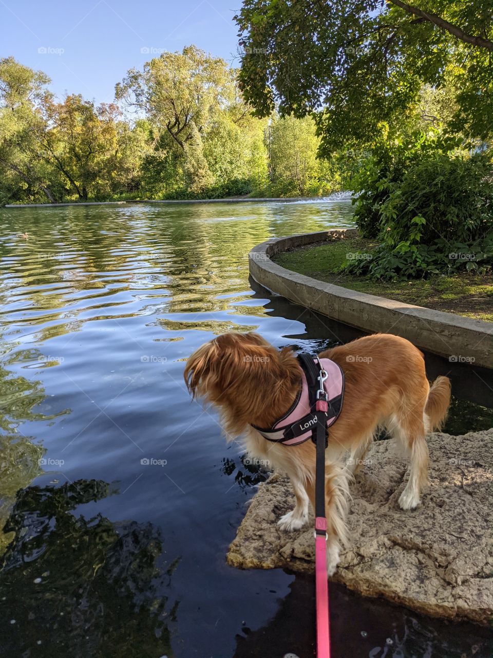 beautiful day in the park