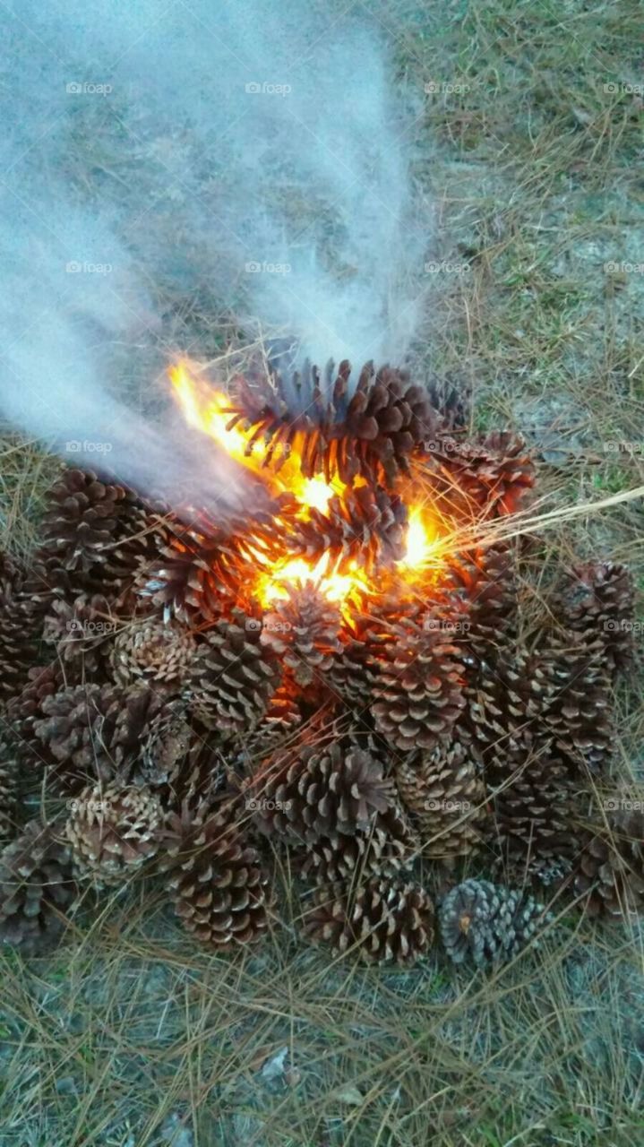 pine cone fire. army