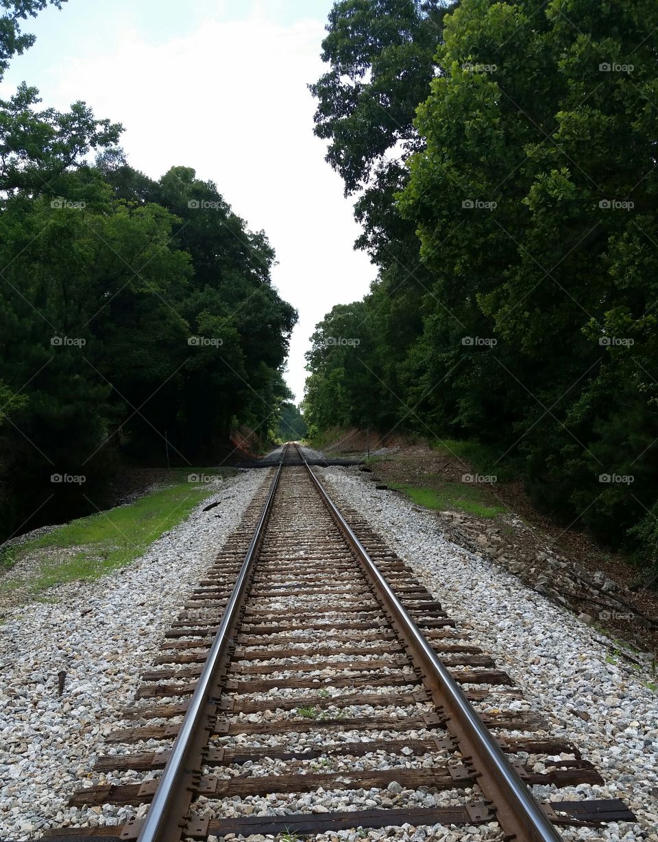 train tracks