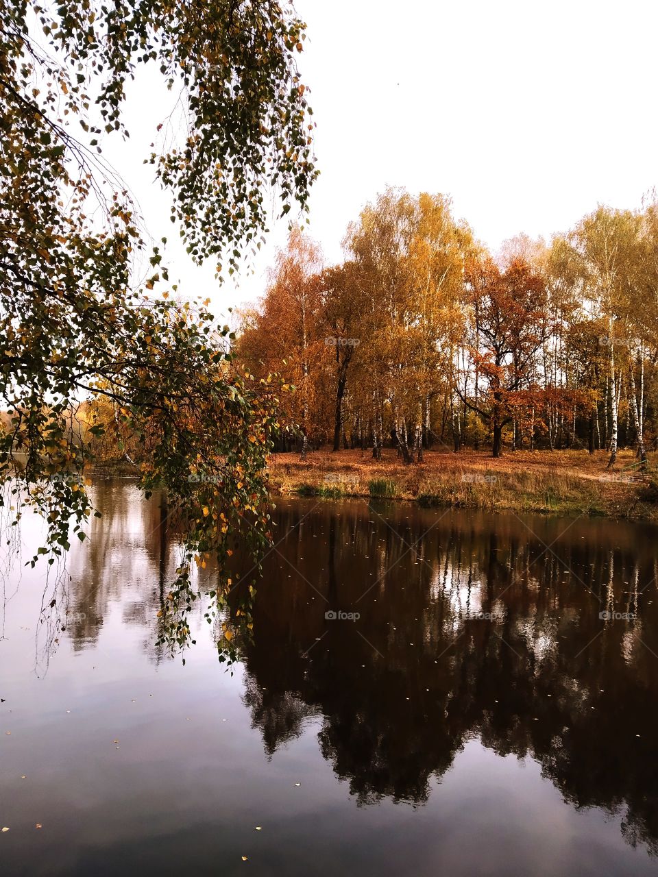 Autumn landscape is reflected in the water.