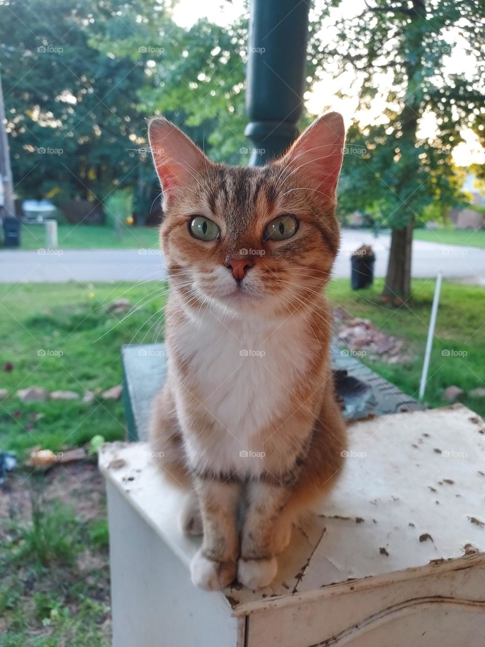 wuz up y'all? hope you're having an awesome weekend and staying as cool as possible.