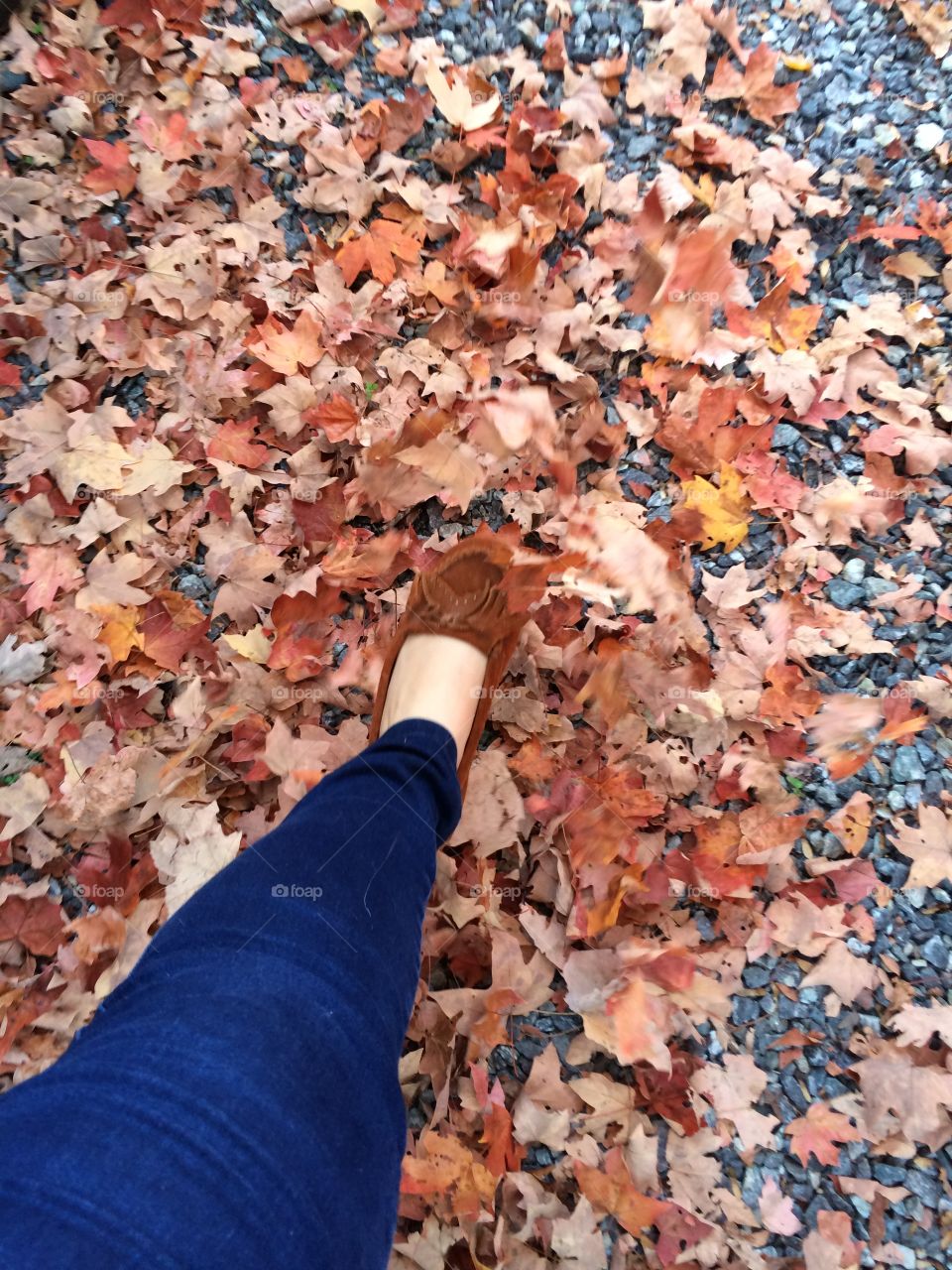 Fall, Leaf, Desktop, Outdoors, People