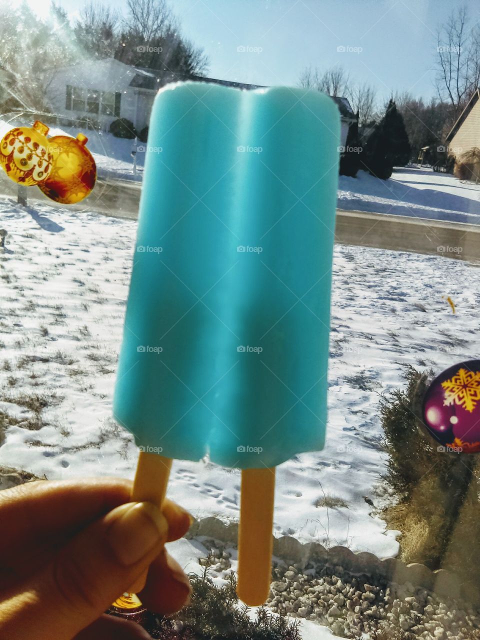 Winter Popsicle