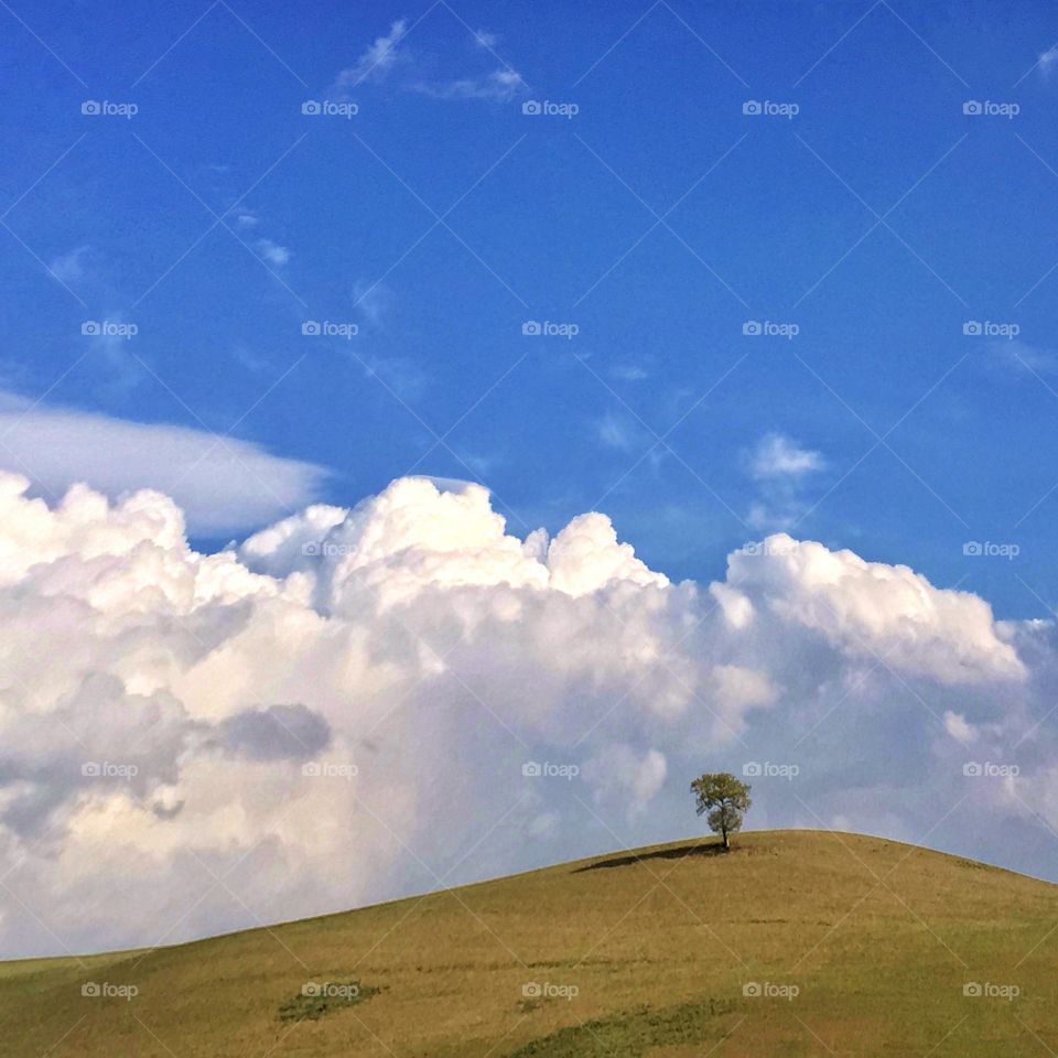 Landscape, No Person, Sky, Grassland, Hill