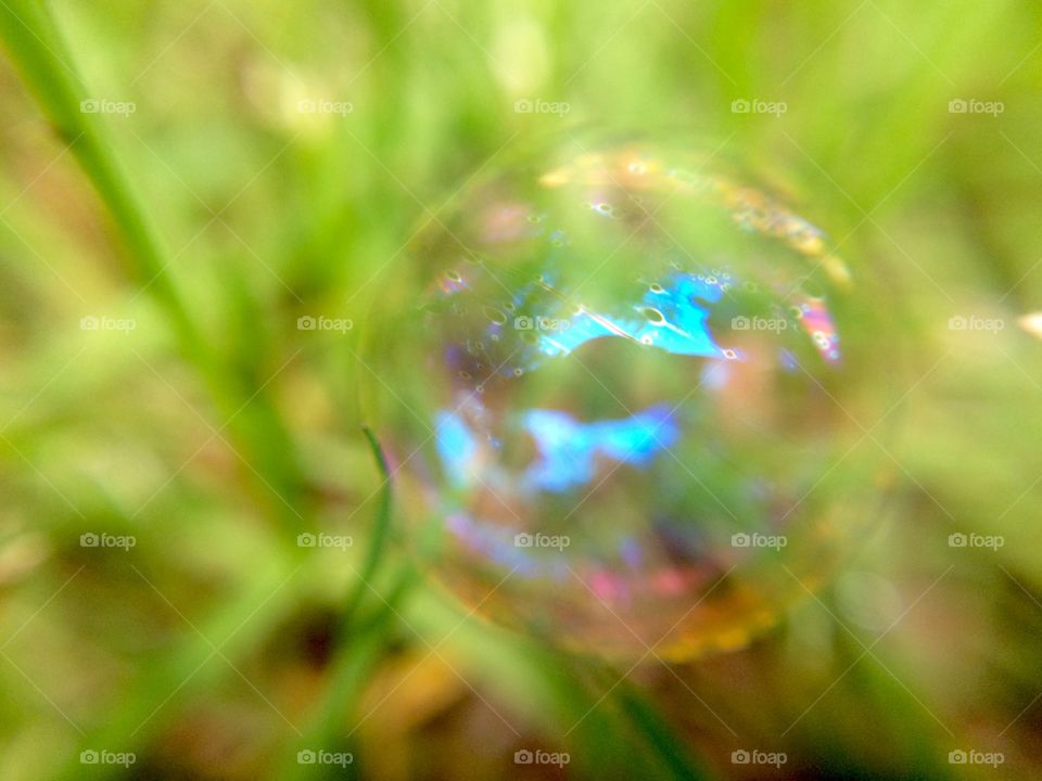 Bubble in the grass