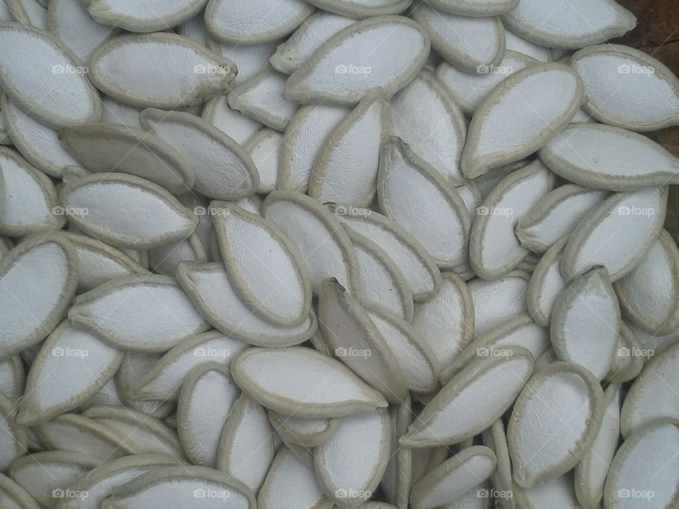 cucurbita angyrosperma seed