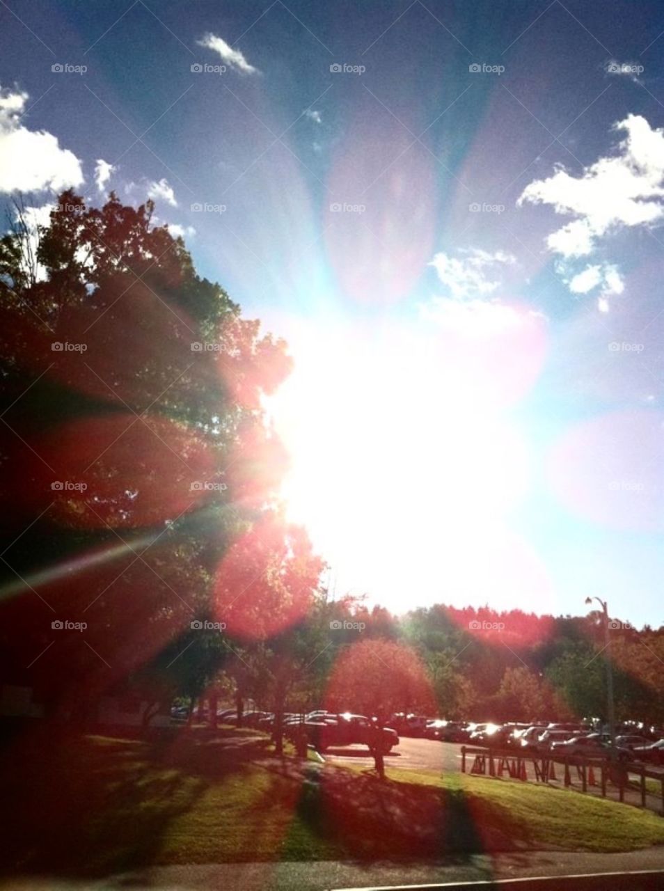 Often sunlight can cause too much brightness of your shot but somehow the sun shooted off into flower petals when captured. 