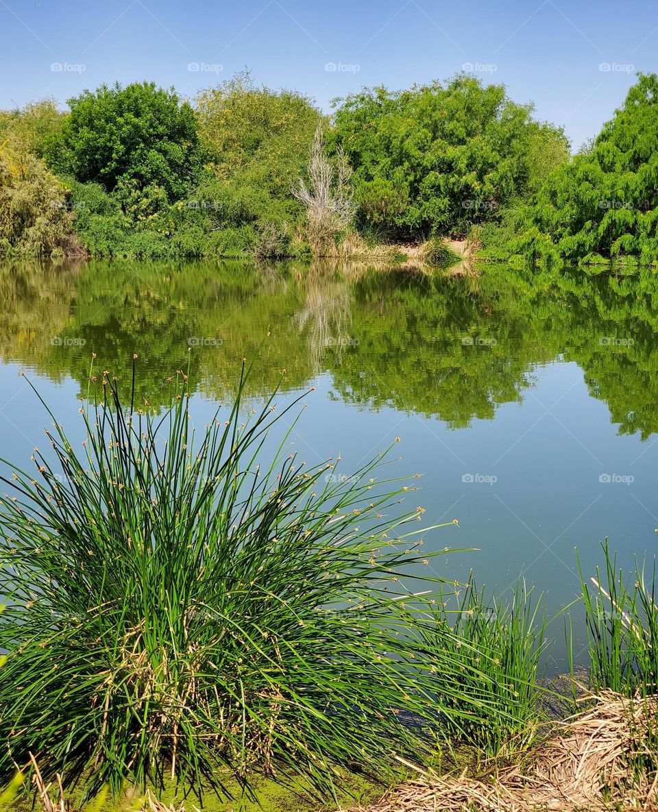Beautiful Reflections in the Lake