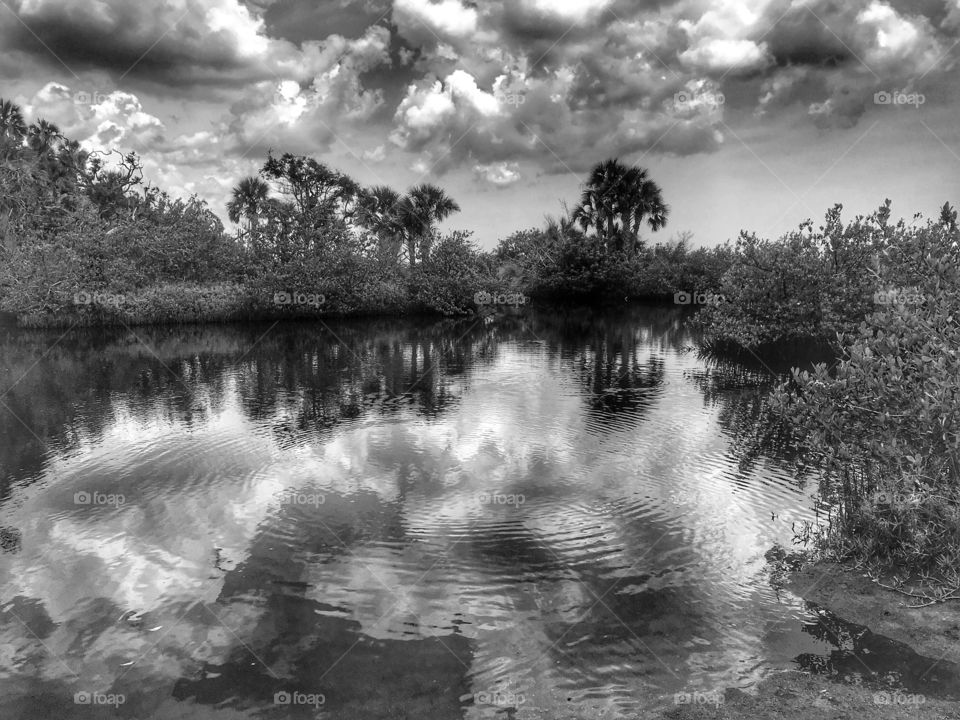 Scenic Florida à la Ansel Adams