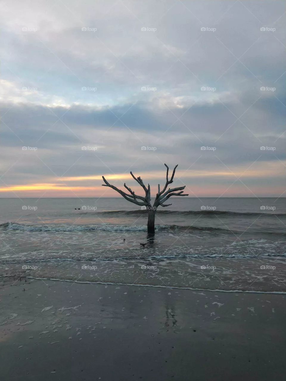 sunrise