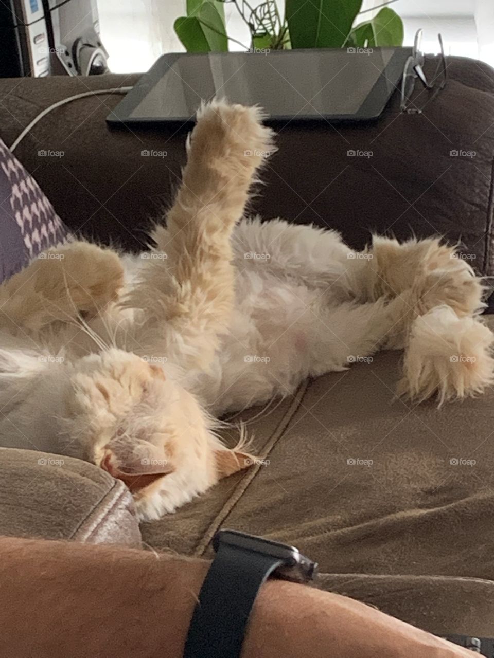 Chilling with my cat 💖