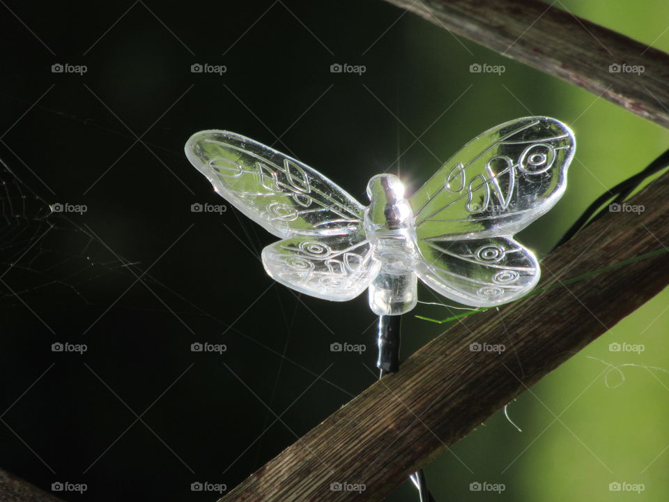 Butterfly garden light on wooden trellis with sunlight shining through☀️🦋