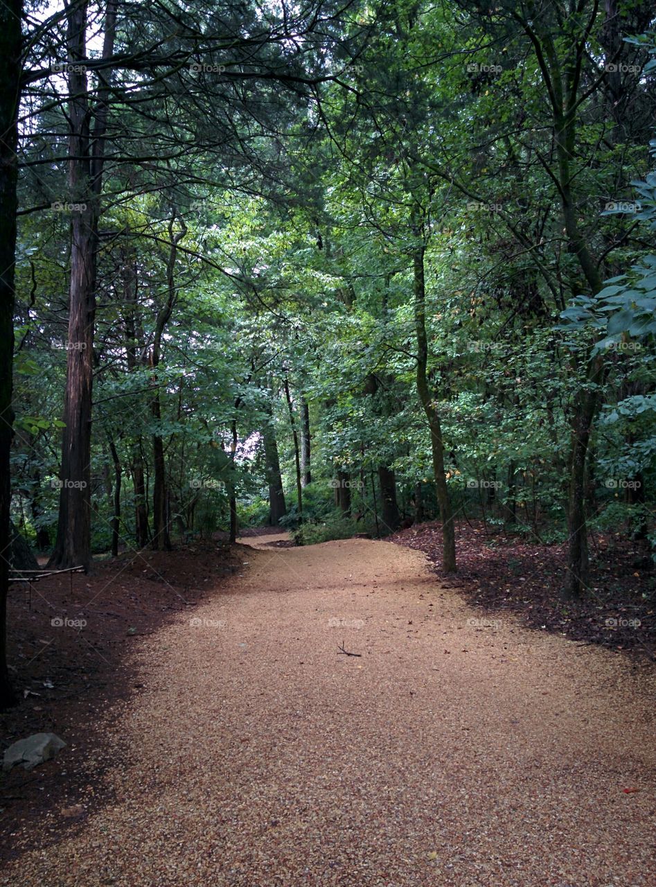 Pathway