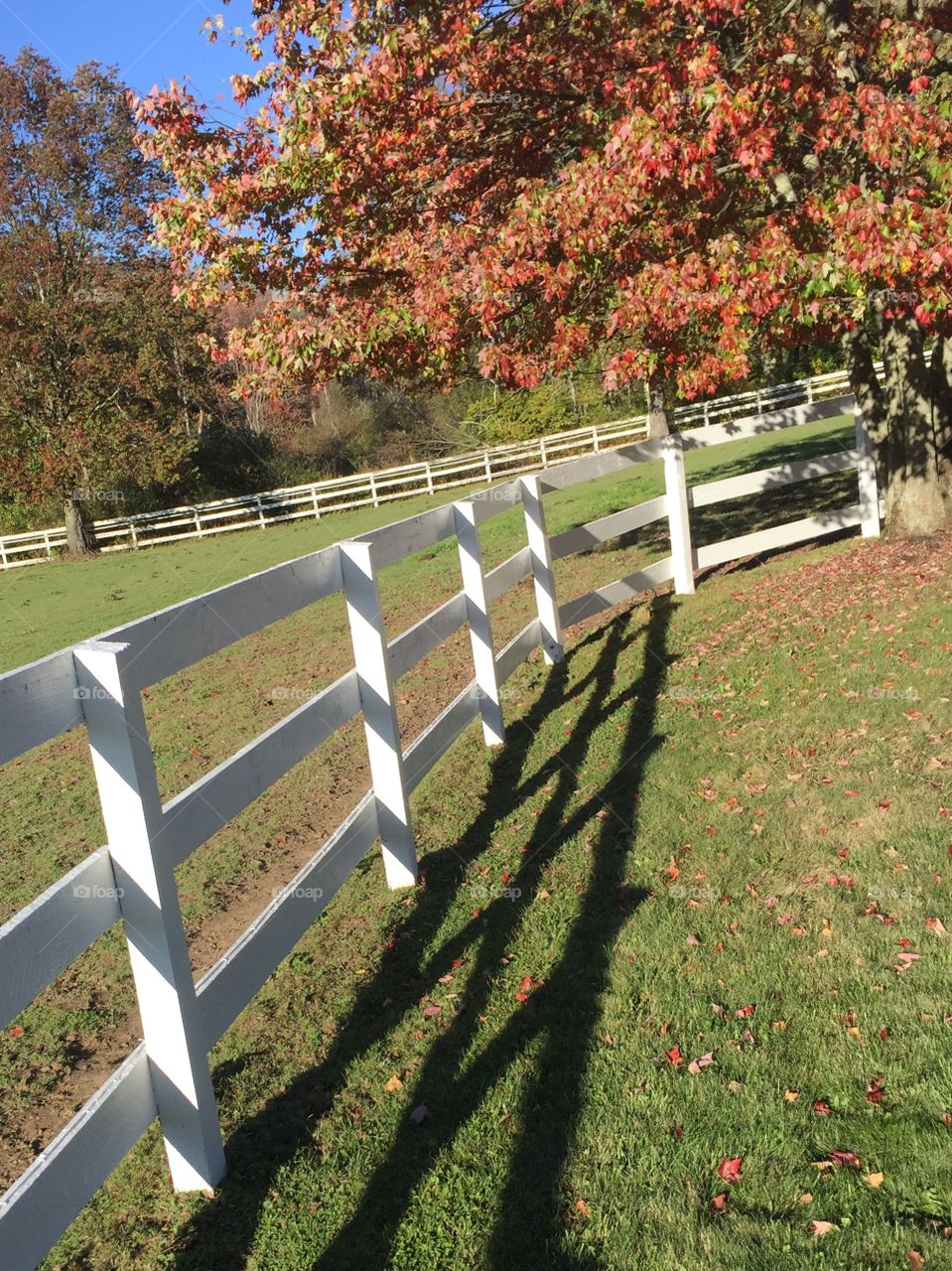 Fall on the Farm