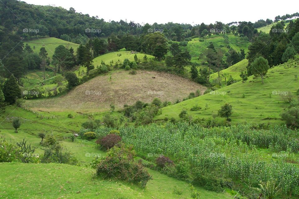 Guatemalan mountain fields. Mountains of Guatemala with pasture and fields