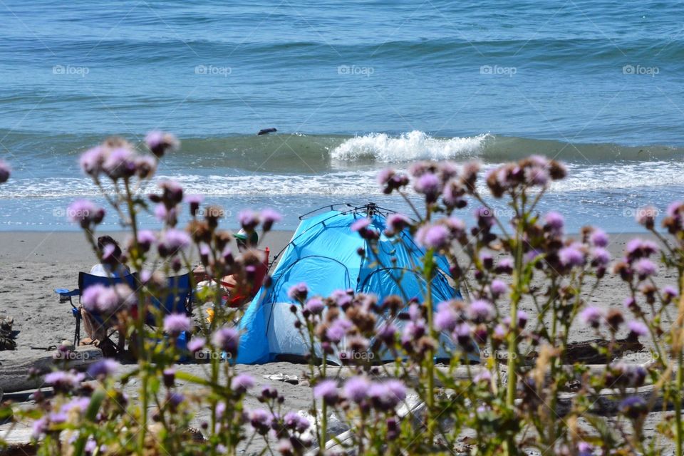 Camping on the beach