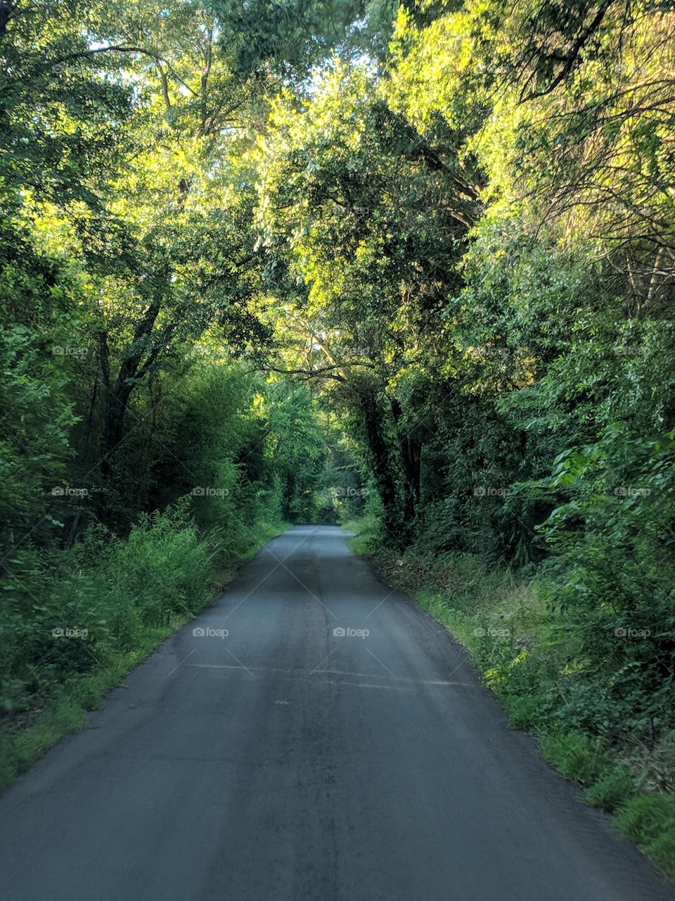 beautiful road ahead