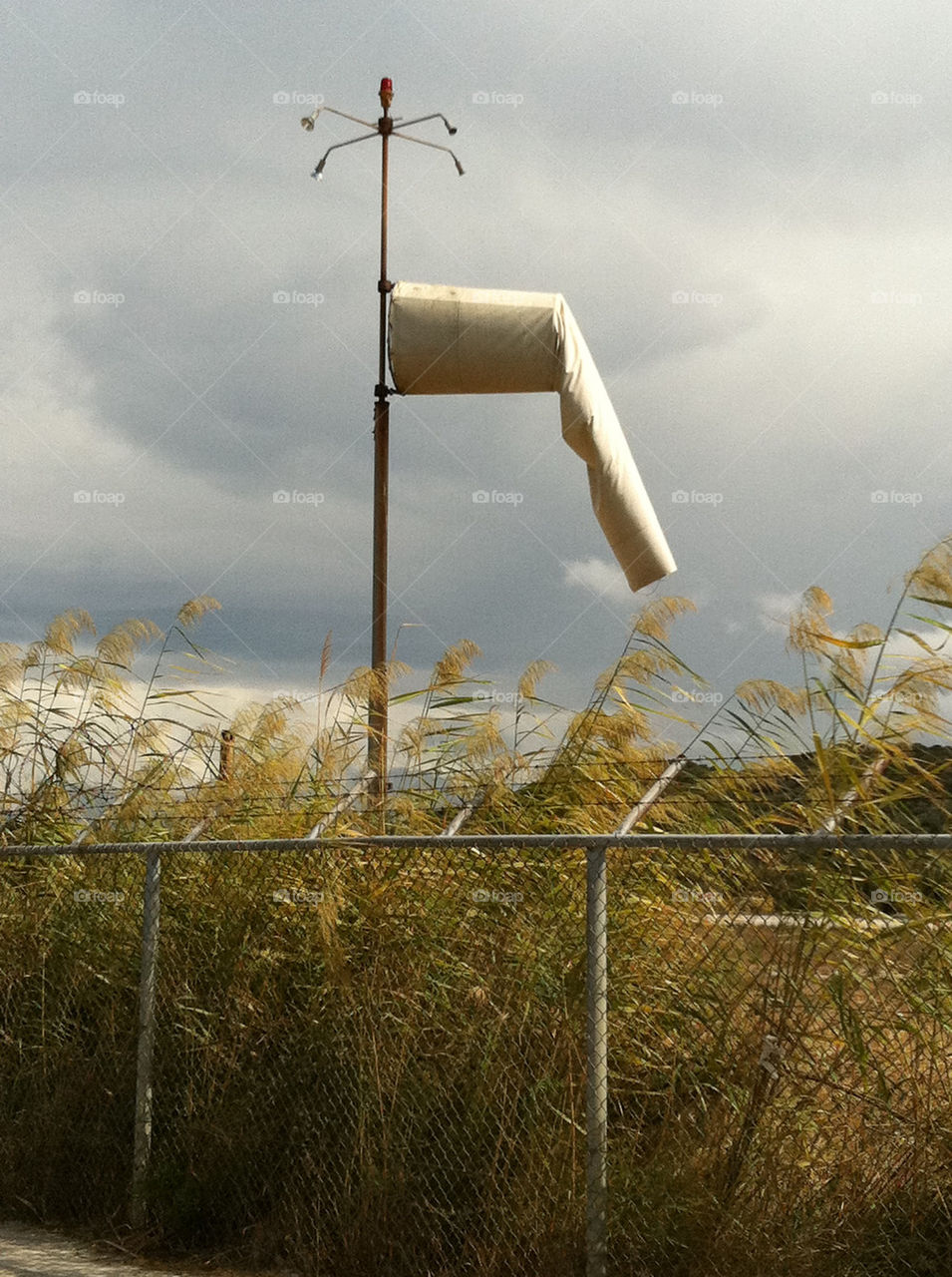 travel grass airport flags by jeanello