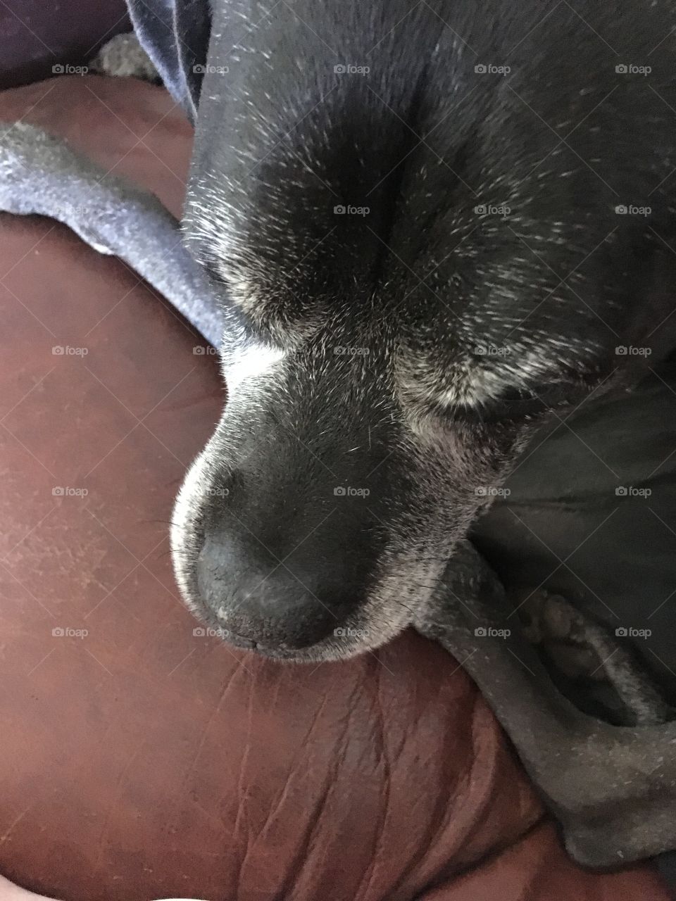 7 years and counting 